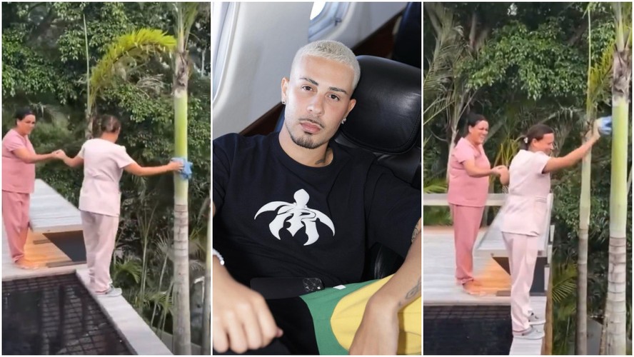 Carlinhos Maia é criticado por vídeo de funcionária limpando coqueiro. Veja  o que dizem advogados | Gestão | PEGN