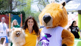 Veterinária abre academia para pets e fatura R$ 45 mil
