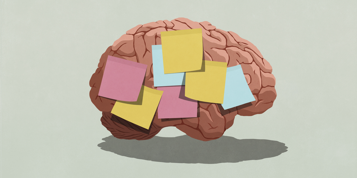 Como melhorar a memória e aprender mais rápido, de acordo com a neurociência
