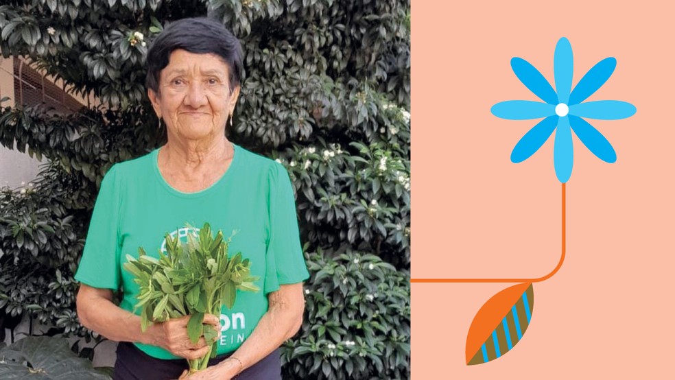 AMAZON BIOPROTEIN - Prestes a lançar um suplemento à base de cariru, Antonia Bezerra gerou mais de 30 empregos diretos e indiretos, especialmente para pequenos agricultores — Foto: Divulgação  |  Ilustração: Getty Images