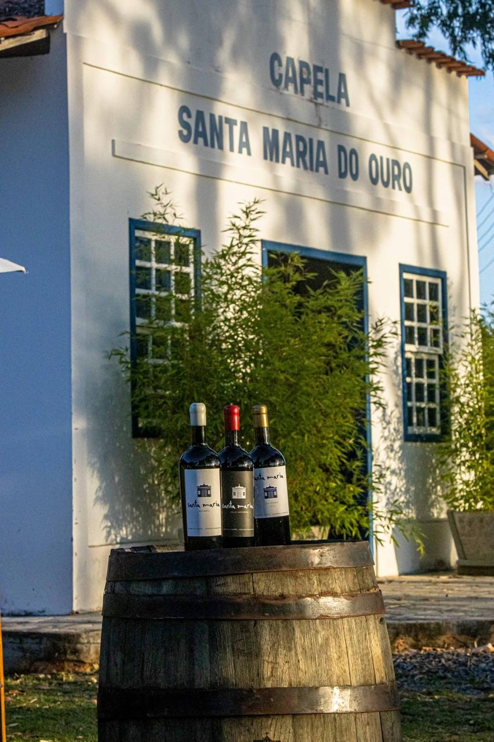 Vinhos produzidos pela vinícola Santa Maria — Foto: Denison Malheiros/Divulgação