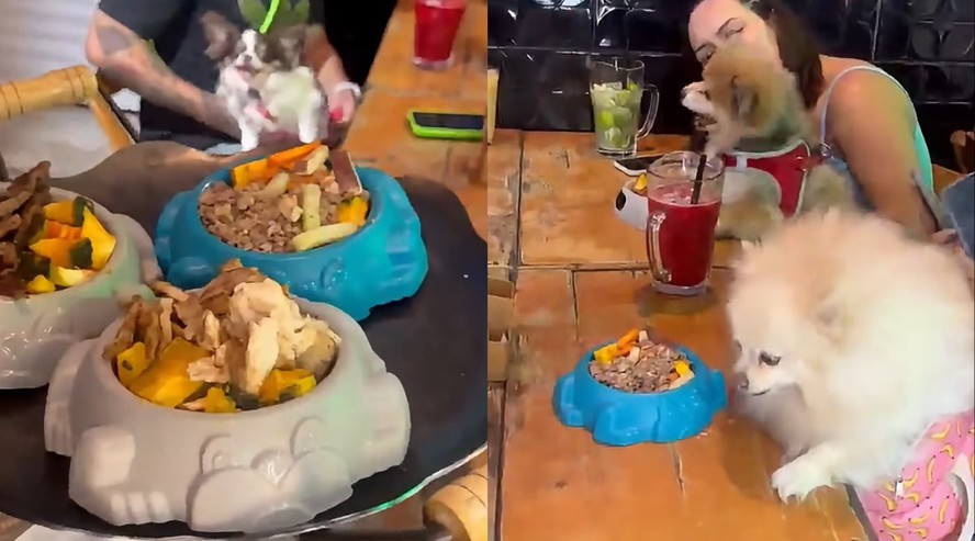 Fogo de Rua rodízio para cachorro