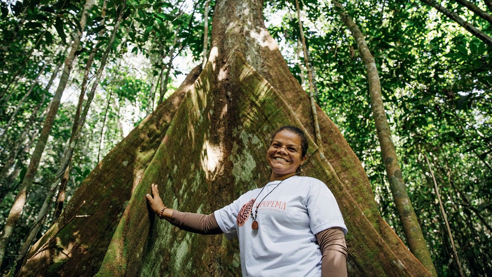 SAPOPEMA BIOJOIAS  - Com o propósito de valorizar o artesanato caboclo e a cadeia produtiva local, Regina Ramos produz brincos, colares e pulseiras com sementes amazônicas — Foto: Divulgação  |  Ilustração: Getty Images