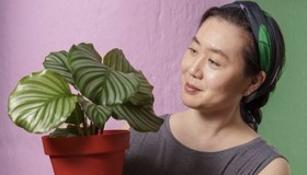 Empreendedora abre floricultura com foco em ir além das plantas tradicionais
