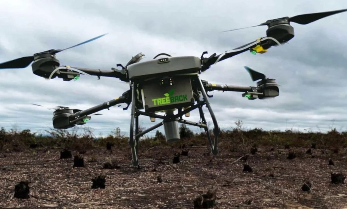 Brasilianisches Startup bekämpft Waldbrände im Amazonasgebiet mit einzigartiger Lösung |  Ein Planet