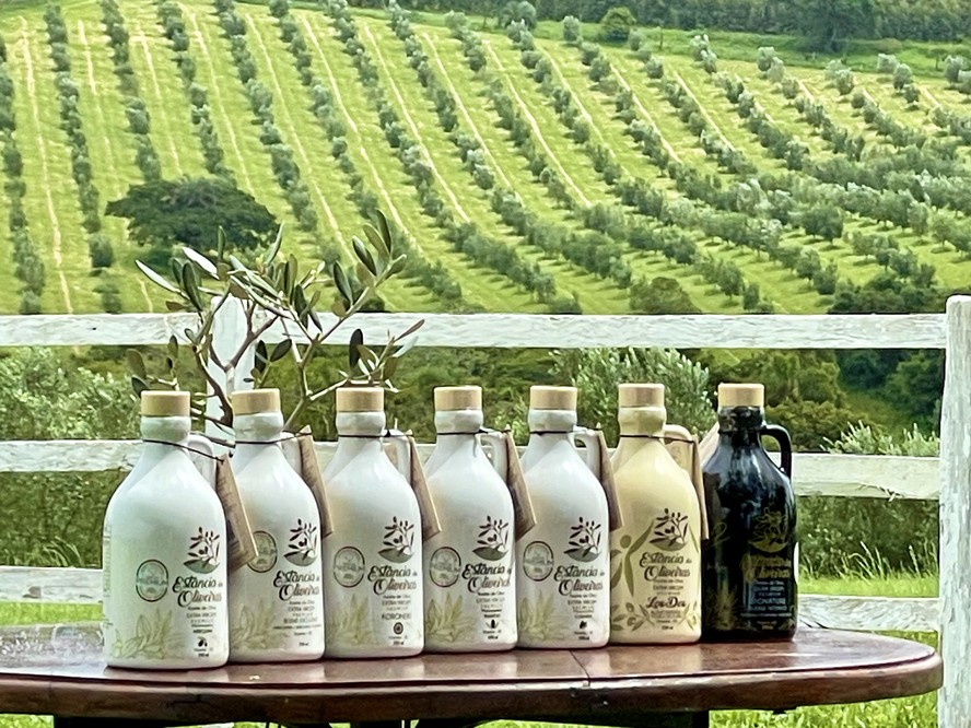 Estância das Oliveira foi a brasileira mais bem colocada, subindo duas colocações em relação a 2024