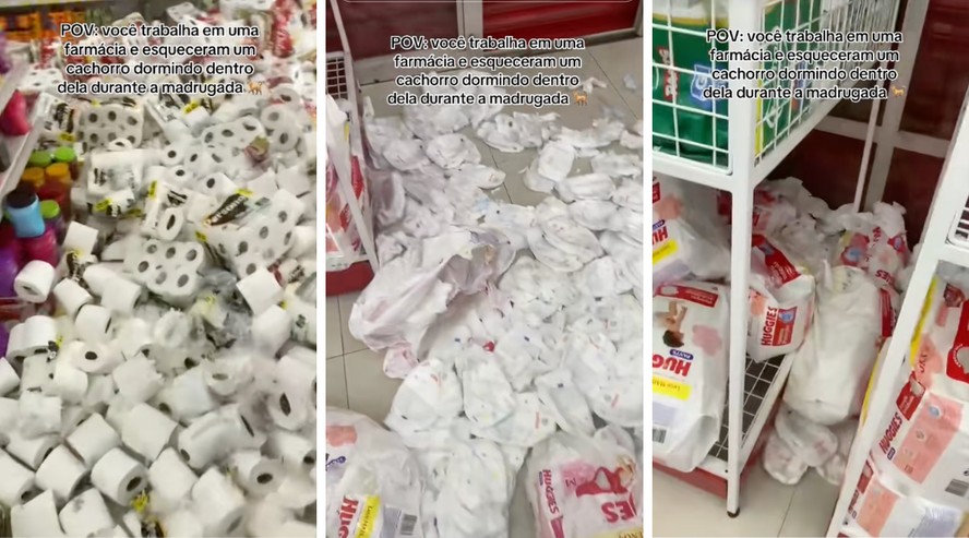 Estoque de farmácia danificado por cachorro