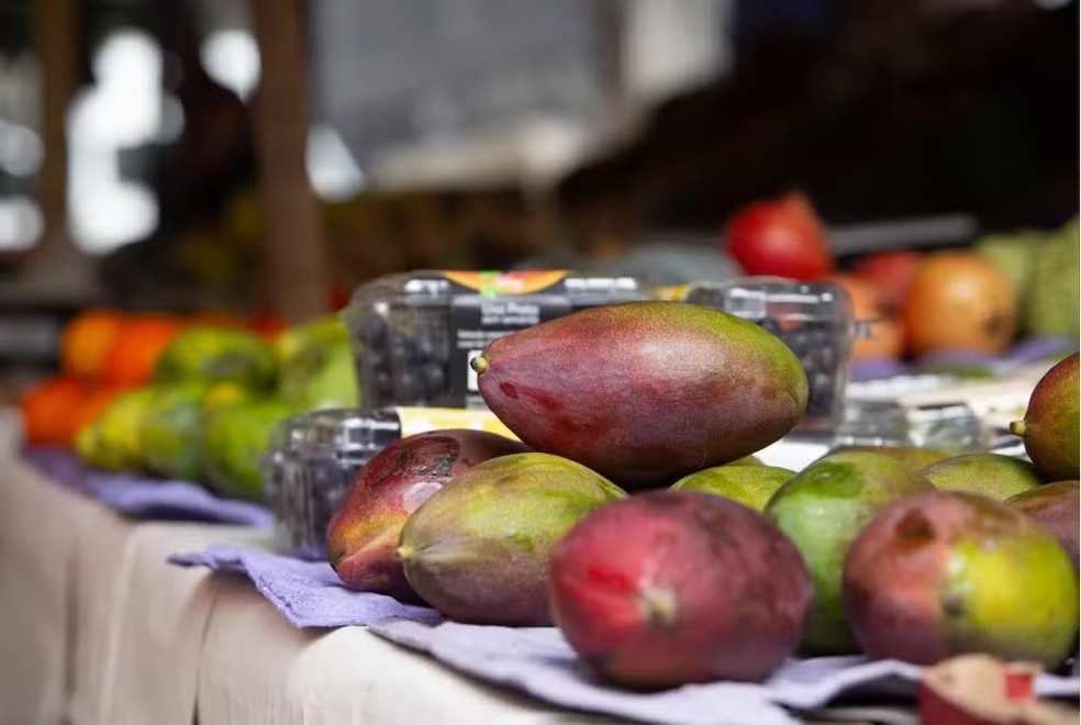 Com tarifas de Trump, preço das frutas apresenta queda — Foto: Júlia Aguiar/Agência O Globo
